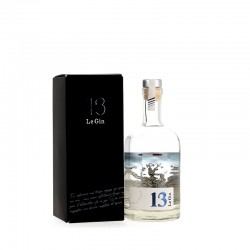 13 - Gin by André Brunel 45%