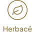 Herbacé